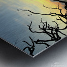 The Last Little Blue at Sunset Metal print