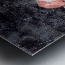 4055 Metal print