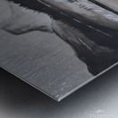 Stand Tall and Cast a Long Shadow Metal print