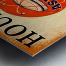 1965 Houston Astros Art Metal print