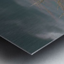 Running Away Metal print