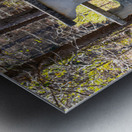 Mistletoe State Park   Appling GA 4801 Metal print