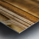 IMG_1320 Metal print