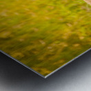 IMG_1401 Metal print