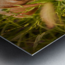 IMG_1411 2 Metal print