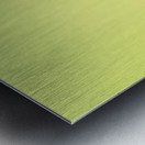 IMG_1279 Metal print