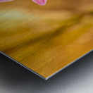 IMG_1301 Metal print