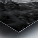 IMG_1305 Metal print