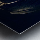 Vintage Penn State Nittany Lion Shrine Art Metal print