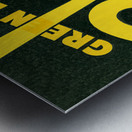 Vintage Green Bay Packers World Champions Art Metal print