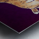 vintage northwestern wildcat nu art  Metal print