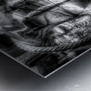 Ship in a Bottle  B&W Metal print