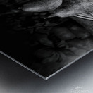 Pears  B&W Metal print