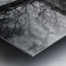 Tree in Field  B&W Metal print