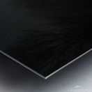 Street in Fog B&W Metal print