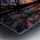 39 IMG 0251 copy Metal print