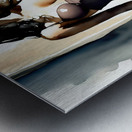 Aquarelle Fozzi 019 Metal print