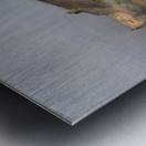 Moonrise Metal print