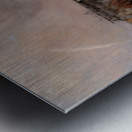 A woman in a carrige Metal print