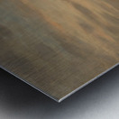 Field in sunset Metal print