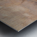 Windmill in the wind Metal print