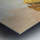 Summer morning on a field Metal print