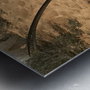 Arabian Oryx: Dubai United Arab Emirates Metal print