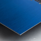 Lower Manhattan from Battery Park Metal print