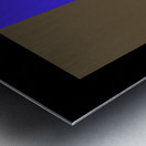 TWIN DRAGONS  Metal print