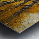 Autumn no.11 Metal print