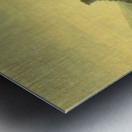 Rosslyn Castle from the east Metal print