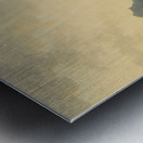 Caesar market day Metal print