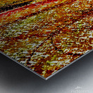 Hazel Eyes Metal print