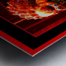 GUARDIAN LION IN THE FORBIDDEN CITY - BEIJING CHINA Metal print