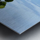 49FDE598 DA38 4AA1 9173 925EA3C7985F Metal print