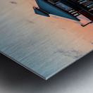 85D6713C F679 4DA6 B69A FD90E5088077 Metal print