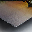 64FB2A5B A92A 426F A8DE 862DF534C269 Metal print