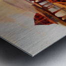 A136D23F 89A7 4DAE B864 892FDEBAAFAB Metal print