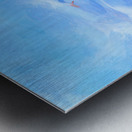 E2316128 56FA 4D7D 9E3B D968232F21A1 Metal print