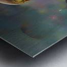 D59B1D8D 649D 455E B0CE 9181508DD8CD Metal print