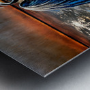 Heron On Boat Metal print