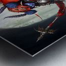 Warrior Ladybug no.4 Metal print