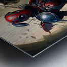 Warrior Ladybug no.13 Metal print