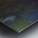 Planet X Metal print