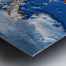 shofar   LION-1 Impression metal