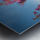 01092020 tirage isadora photo voyage côte nord  1678551943.8116 Metal print