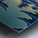 Toro Nagashi Metal print