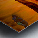 FT. MYERS BEACH SAILBOAT SUNSET Metal print