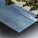 Heron Island Metal print