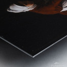 A woman cleaning a barrel Metal print